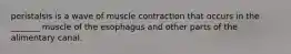 peristalsis is a wave of muscle contraction that occurs in the _______ muscle of the esophagus and other parts of the alimentary canal.