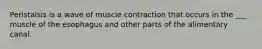 Peristalsis is a wave of muscle contraction that occurs in the ___ muscle of the esophagus and other parts of the alimentary canal.