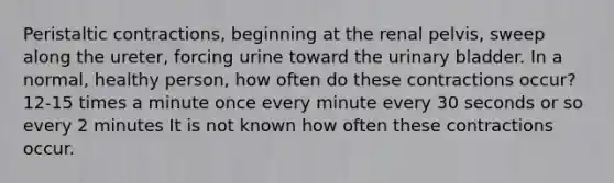 Peristaltic contractions, beginning at the renal pelvis, sweep along the ureter, forcing urine toward the urinary bladder. In a normal, healthy person, how often do these contractions occur? 12-15 times a minute once every minute every 30 seconds or so every 2 minutes It is not known how often these contractions occur.