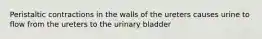 Peristaltic contractions in the walls of the ureters causes urine to flow from the ureters to the urinary bladder