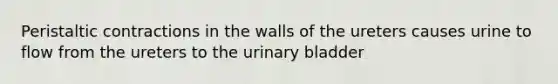 Peristaltic contractions in the walls of the ureters causes urine to flow from the ureters to the <a href='https://www.questionai.com/knowledge/kb9SdfFdD9-urinary-bladder' class='anchor-knowledge'>urinary bladder</a>