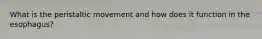 What is the peristaltic movement and how does it function in the esophagus?