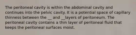 The peritoneal cavity is within the abdominal cavity and continues into the pelvic cavity. It is a potential space of capillary thinness between the __ and __layers of peritoneum. The peritoneal cavity contains a thin layer of peritoneal fluid that keeps the peritoneal surfaces moist.