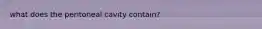 what does the peritoneal cavity contain?