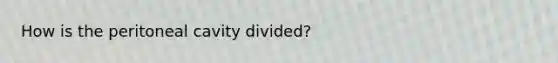 How is the peritoneal cavity divided?