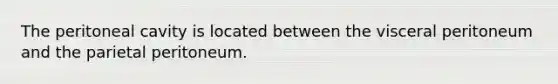 The peritoneal cavity is located between the visceral peritoneum and the parietal peritoneum.