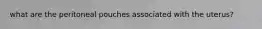 what are the peritoneal pouches associated with the uterus?