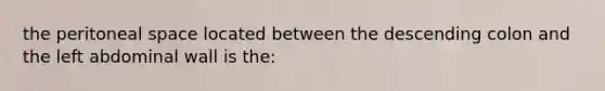 the peritoneal space located between the descending colon and the left abdominal wall is the: