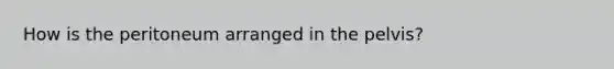 How is the peritoneum arranged in the pelvis?