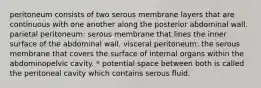 peritoneum consists of two serous membrane layers that are continuous with one another along the posterior abdominal wall. parietal peritoneum: serous membrane that lines the inner surface of the abdominal wall. visceral peritoneum: the serous membrane that covers the surface of internal organs within the abdominopelvic cavity. * potential space between both is called the peritoneal cavity which contains serous fluid.