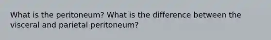 What is the peritoneum? What is the difference between the visceral and parietal peritoneum?