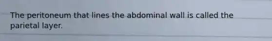 The peritoneum that lines the abdominal wall is called the parietal layer.