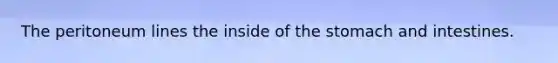 The peritoneum lines the inside of <a href='https://www.questionai.com/knowledge/kLccSGjkt8-the-stomach' class='anchor-knowledge'>the stomach</a> and intestines.