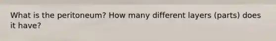 What is the peritoneum? How many different layers (parts) does it have?