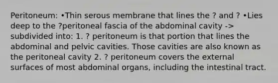 Peritoneum: •Thin serous membrane that lines the ? and ? •Lies deep to the ?peritoneal fascia of the abdominal cavity -> subdivided into: 1. ? peritoneum is that portion that lines the abdominal and pelvic cavities. Those cavities are also known as the peritoneal cavity 2. ? peritoneum covers the external surfaces of most abdominal organs, including the intestinal tract.