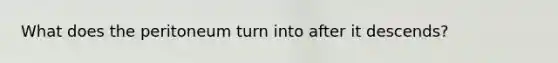 What does the peritoneum turn into after it descends?