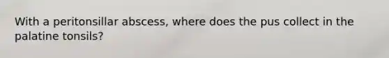With a peritonsillar abscess, where does the pus collect in the palatine tonsils?