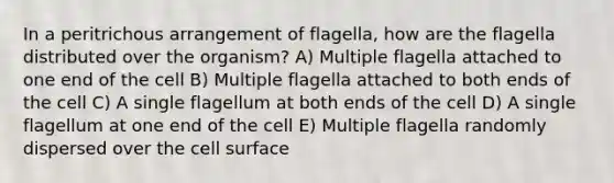 In a peritrichous arrangement of flagella, how are the flagella distributed over the organism? A) Multiple flagella attached to one end of the cell B) Multiple flagella attached to both ends of the cell C) A single flagellum at both ends of the cell D) A single flagellum at one end of the cell E) Multiple flagella randomly dispersed over the cell surface