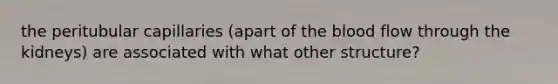 the peritubular capillaries (apart of the blood flow through the kidneys) are associated with what other structure?