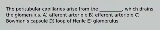 The peritubular capillaries arise from the __________, which drains the glomerulus. A) afferent arteriole B) efferent arteriole C) Bowman's capsule D) loop of Henle E) glomerulus