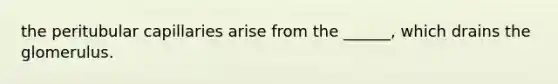 the peritubular capillaries arise from the ______, which drains the glomerulus.