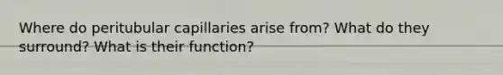 Where do peritubular capillaries arise from? What do they surround? What is their function?