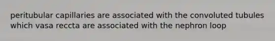 peritubular capillaries are associated with the convoluted tubules which vasa reccta are associated with the nephron loop