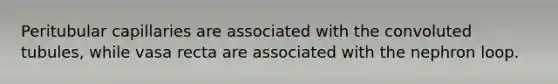 Peritubular capillaries are associated with the convoluted tubules, while vasa recta are associated with the nephron loop.