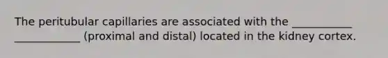 The peritubular capillaries are associated with the ___________ ____________ (proximal and distal) located in the kidney cortex.