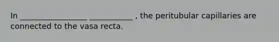 In _________________ ___________ , the peritubular capillaries are connected to the vasa recta.