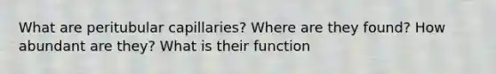 What are peritubular capillaries? Where are they found? How abundant are they? What is their function