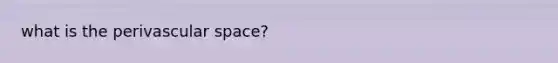 what is the perivascular space?