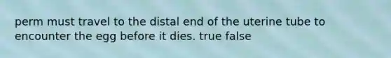 perm must travel to the distal end of the uterine tube to encounter the egg before it dies. true false