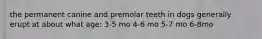 the permanent canine and premolar teeth in dogs generally erupt at about what age: 3-5 mo 4-6 mo 5-7 mo 6-8mo