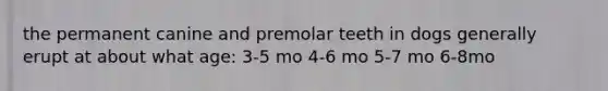 the permanent canine and premolar teeth in dogs generally erupt at about what age: 3-5 mo 4-6 mo 5-7 mo 6-8mo