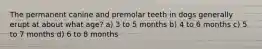 The permanent canine and premolar teeth in dogs generally erupt at about what age? a) 3 to 5 months b) 4 to 6 months c) 5 to 7 months d) 6 to 8 months