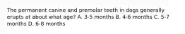 The permanent canine and premolar teeth in dogs generally erupts at about what age? A. 3-5 months B. 4-6 months C. 5-7 months D. 6-8 months