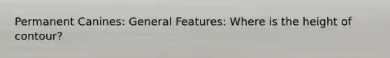 Permanent Canines: General Features: Where is the height of contour?