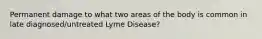 Permanent damage to what two areas of the body is common in late diagnosed/untreated Lyme Disease?