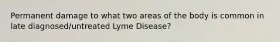 Permanent damage to what two areas of the body is common in late diagnosed/untreated Lyme Disease?