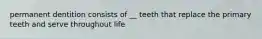 permanent dentition consists of __ teeth that replace the primary teeth and serve throughout life