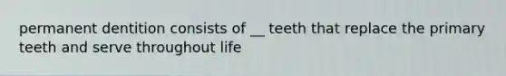 permanent dentition consists of __ teeth that replace the primary teeth and serve throughout life