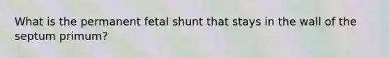 What is the permanent fetal shunt that stays in the wall of the septum primum?