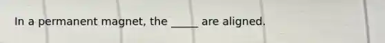 In a permanent magnet, the _____ are aligned.
