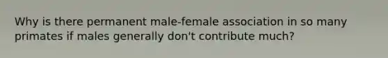 Why is there permanent male-female association in so many primates if males generally don't contribute much?