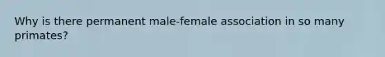 Why is there permanent male-female association in so many primates?