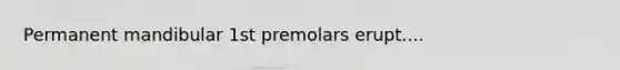 Permanent mandibular 1st premolars erupt....