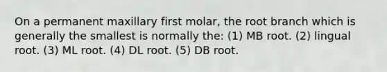 On a permanent maxillary first molar, the root branch which is generally the smallest is normally the: (1) MB root. (2) lingual root. (3) ML root. (4) DL root. (5) DB root.