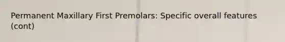 Permanent Maxillary First Premolars: Specific overall features (cont)