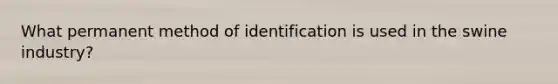 What permanent method of identification is used in the swine industry?